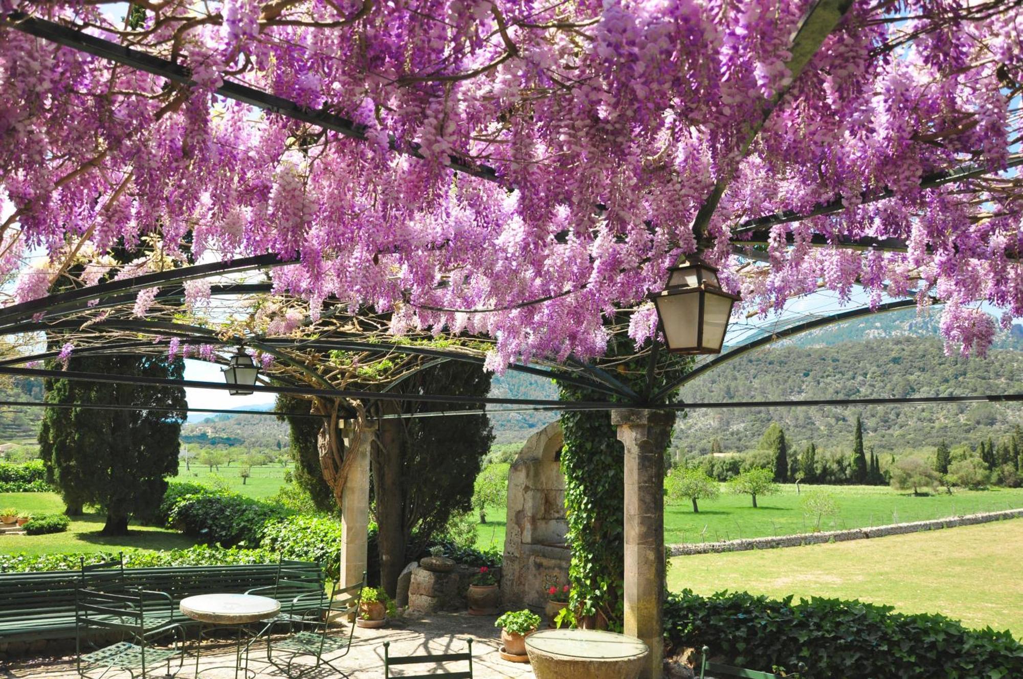 Fangar Agroturismo กัมปาเนต ภายนอก รูปภาพ